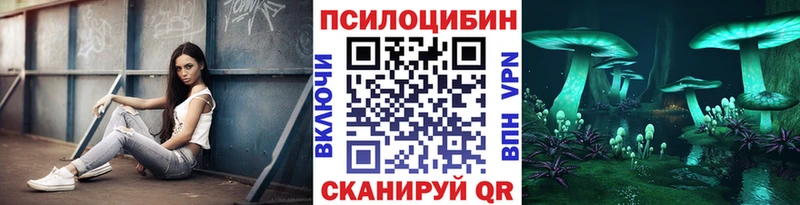 Псилоцибиновые грибы Psilocybe  kraken сайт  Алексин  цена  
